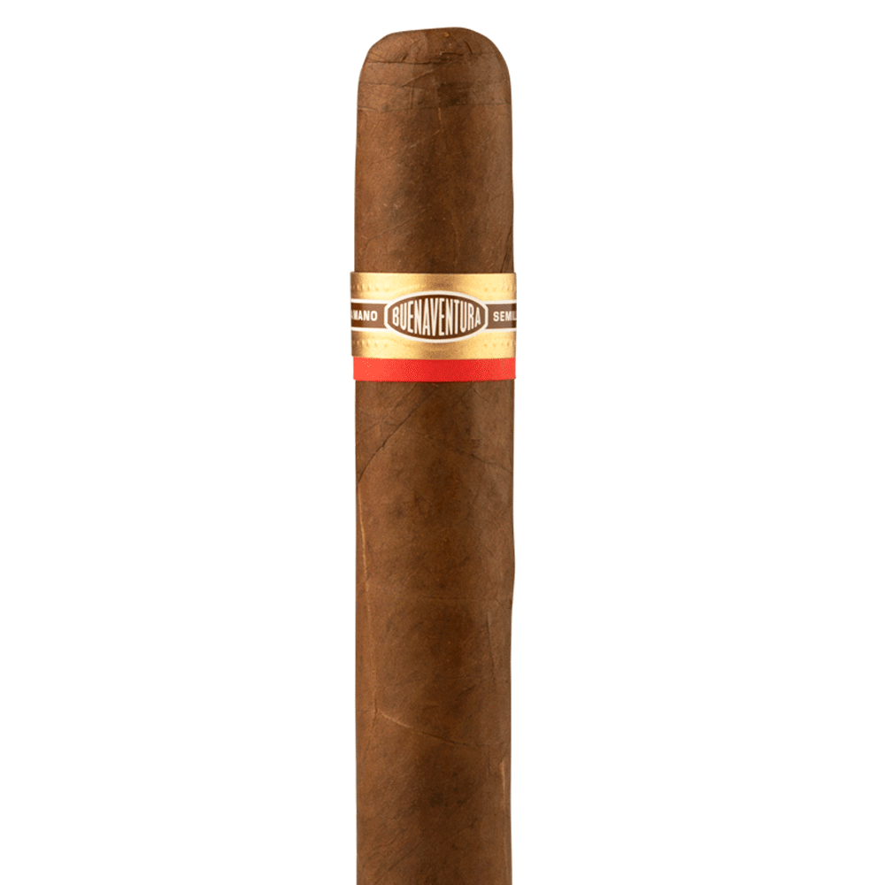 Favoritos 60 Natural, , cigars